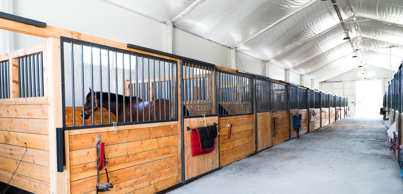 Швидкомонтована споруда: кінний манеж та стайня під одним дахом
