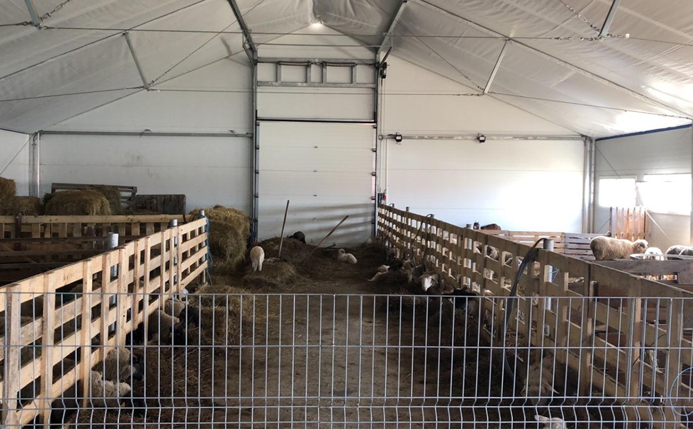 Сільське господарство