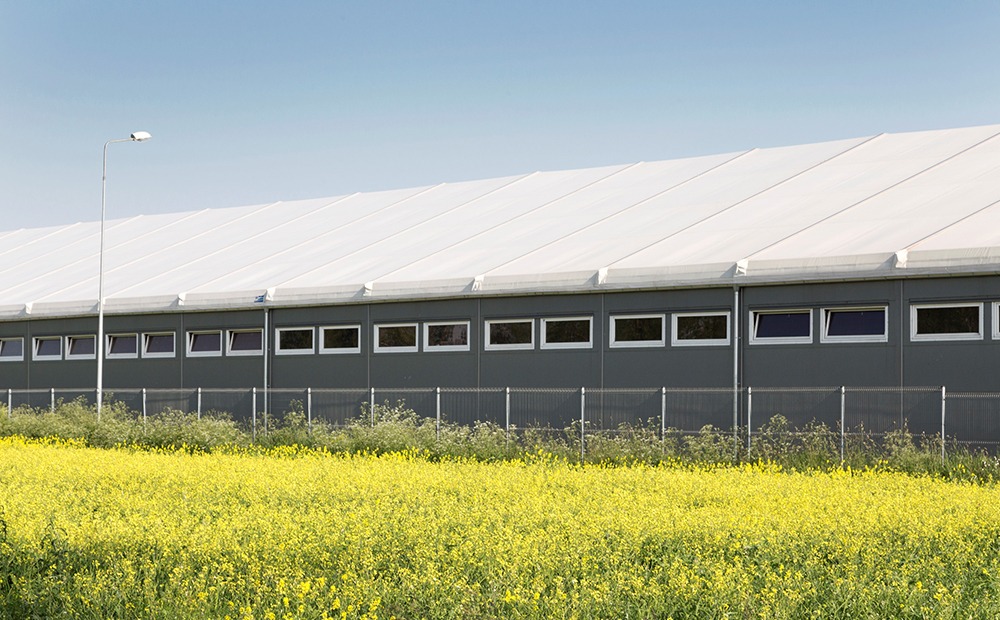 Сільське господарство