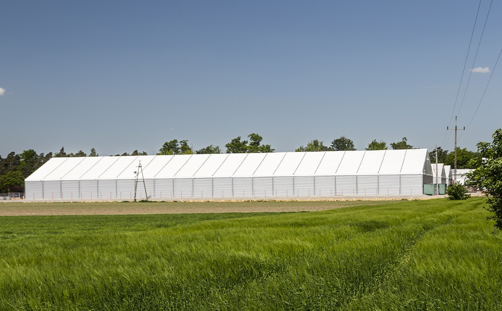 Сільське господарство
